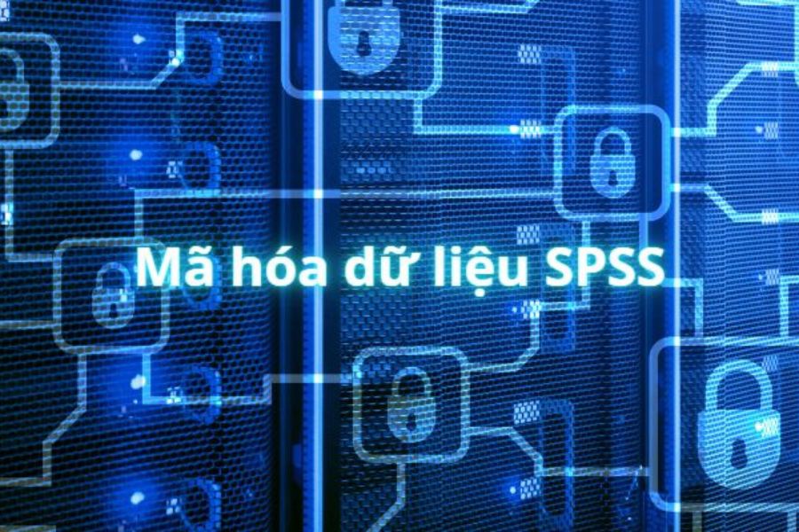 Khái niệm cơ bản về mã hóa dữ liệu SPSS