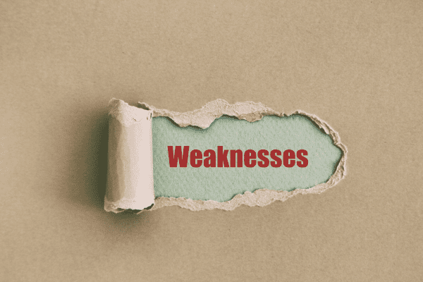 Môi trường bên trong doanh nghiệp, Weakness- Điểm yếu